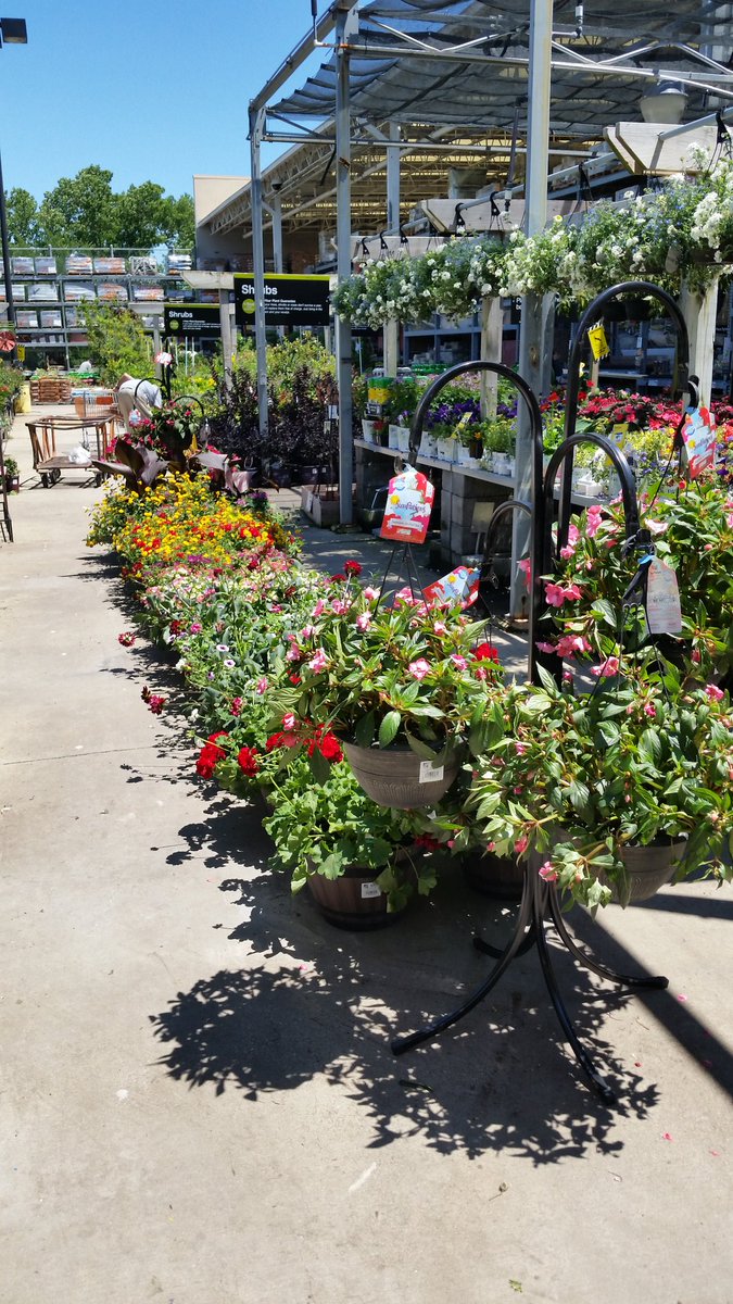 Thb (@tom_halbrook) on Twitter photo Mother's day is this Sunday. 6503 has plenty of colors to choose from <a href="/kjl265/">Kevin Leitz</a> <a href="/cravens_m/">Lesa Cravens</a> Come on down@6503 Mother's day is this Sunday. 6503 has plenty of colors to choose from <a href="/kjl265/">Kevin Leitz</a> <a href="/cravens_m/">Lesa Cravens</a> Come on down@6503