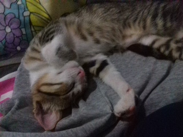 ceIIboIito's tweet photo. Perfeita é pouco https://t.co/K84Oxh4Cq9