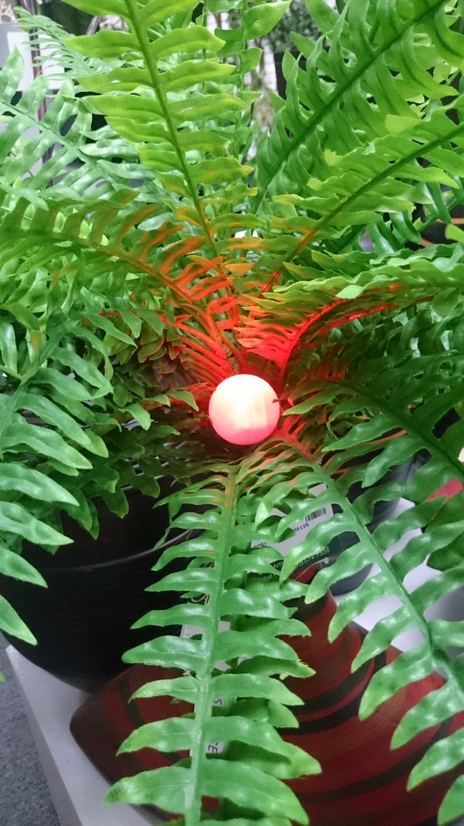 AmazingGreenInc's tweet photo. May the 4th be with you! #ArtificialPlants #AmazingGreen #Maythe4thBeWithYou #DeathStar #StarWarsDay https://t.co/c1mhY8tUm8