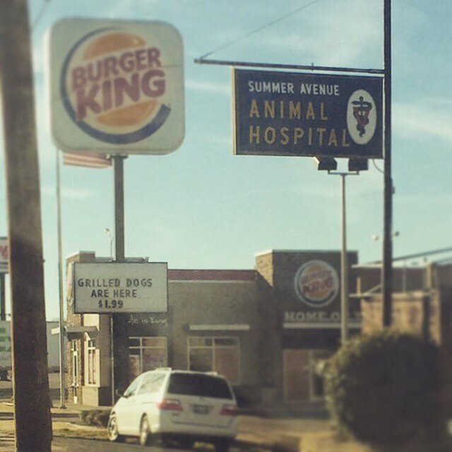 brianwarrick's tweet photo. I'm suddenly not hungry... https://t.co/IBGFdAelID