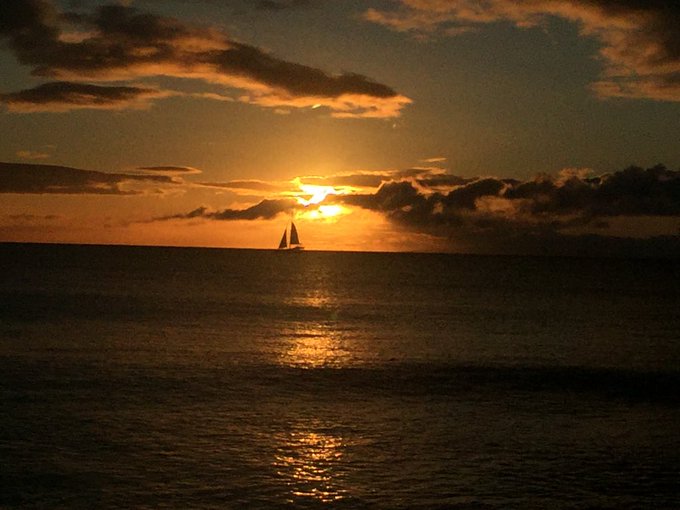Going 🌅 ⛵️ tonight, I'll be on the other side of this 💛 https://t.co/XTPFlXCAVJ