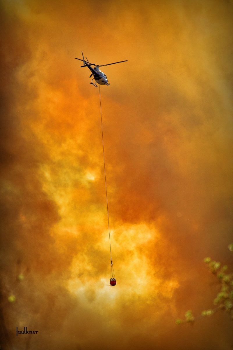 FaulknerGroup's tweet photo. Alexis Sioux Nation forest fire.  Shot by Reg Faulkner. #lacsteannefire https://t.co/Nor6ive33p
