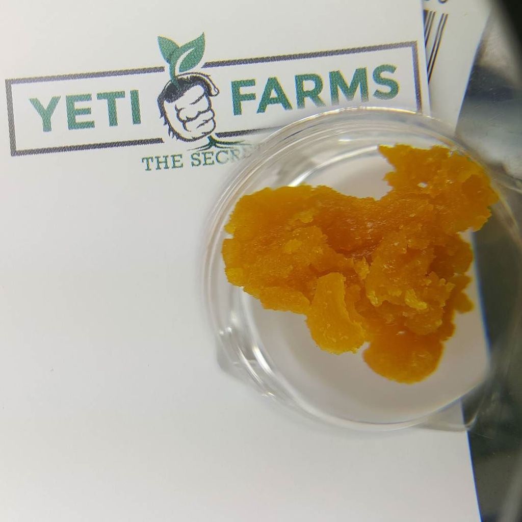 leafonthemesa's tweet photo. 89% THC lab tested on this Jenny's Kush #trimrun grown in-house!! big shout out to @yeti_f… https://t.co/3Oi9k9tJzZ https://t.co/LrPFgfsoZ7