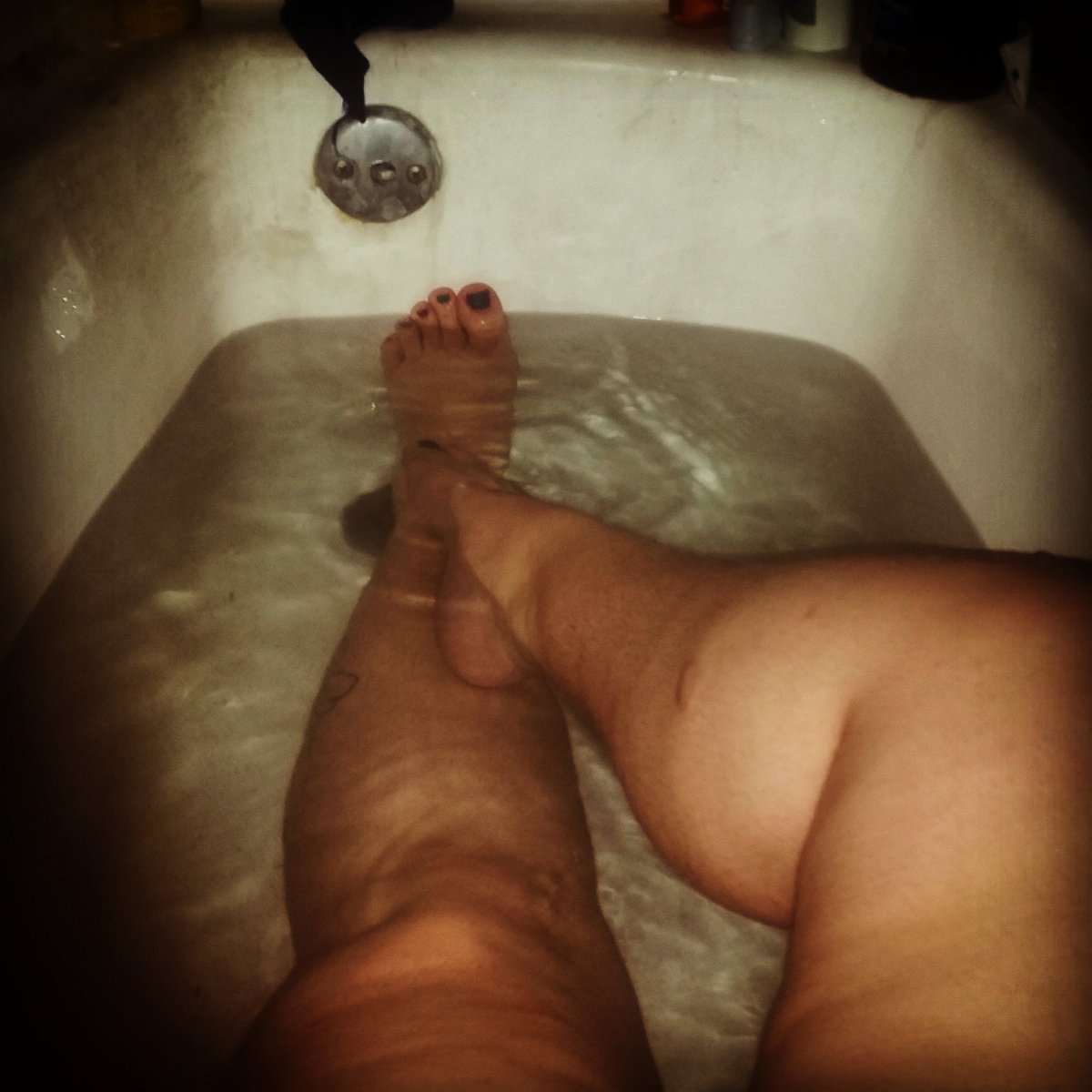 SexySarahBBW tweet media