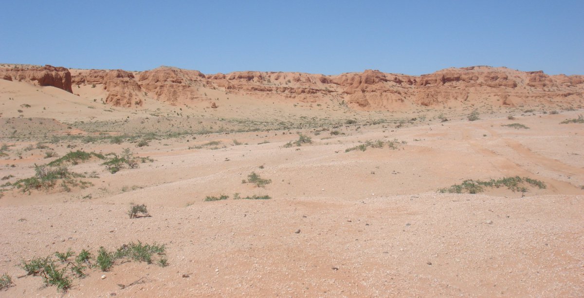 PalaeoPittman's tweet photo. How have you found fossils? For Linheraptor + Linhenykus see  https://t.co/eoZr6nVm9e @DiscoverMag #findingfossils https://t.co/tZZKv5lU1T