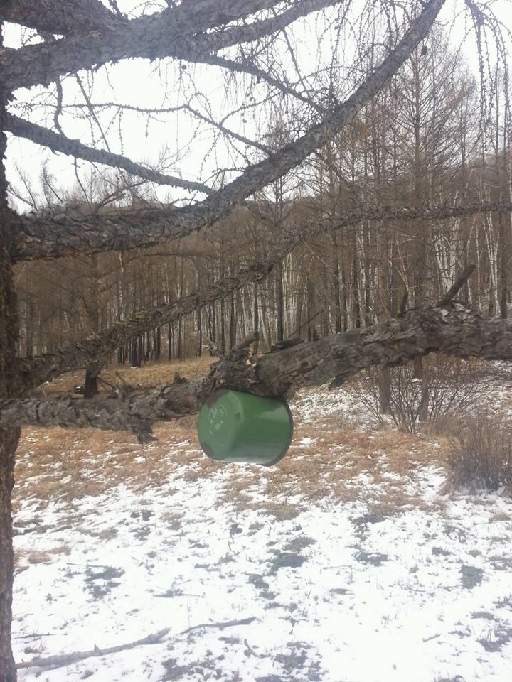 Тайлбаргүй