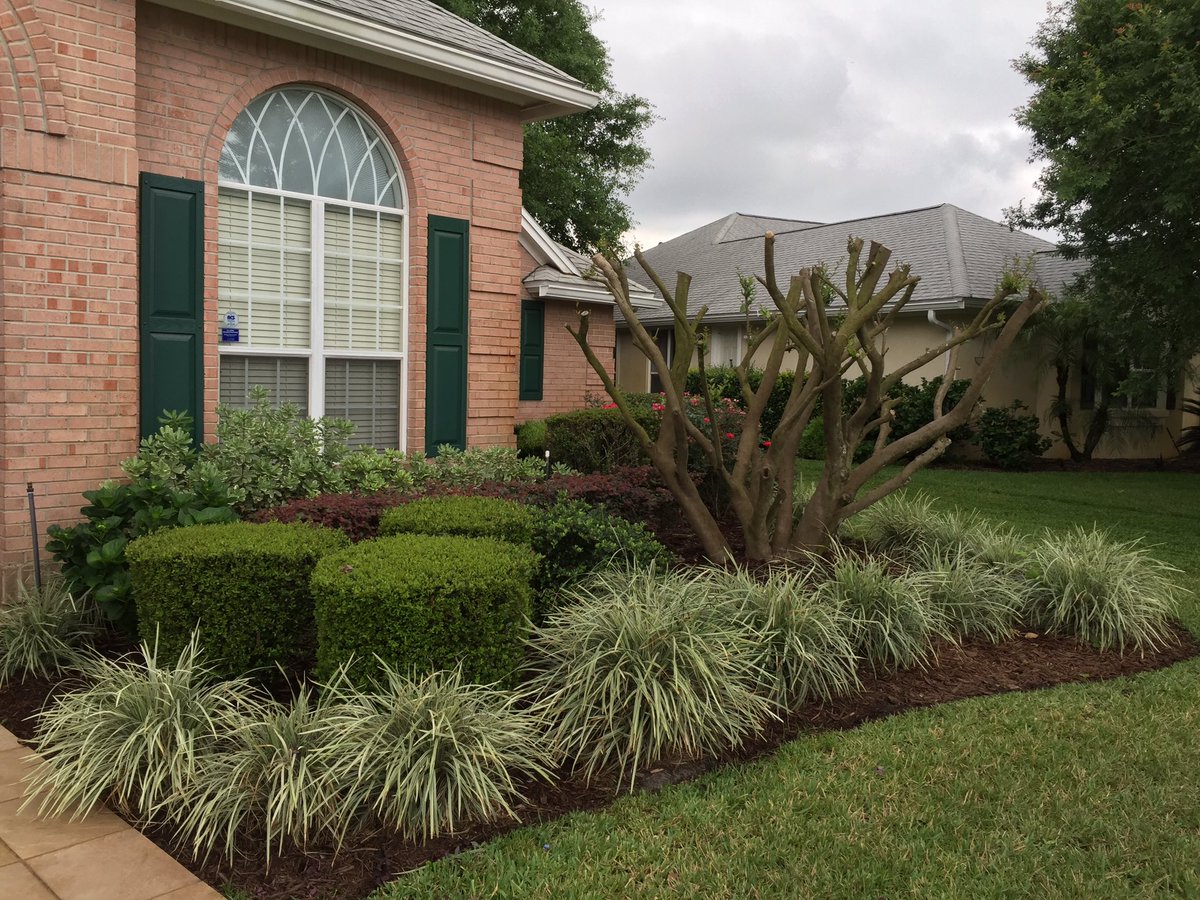 <a href="/castellani/">Brian Castellani</a> #Gardening @ Jacksonville, Florida instagram.com/p/BE_5G5WrxuZ/
