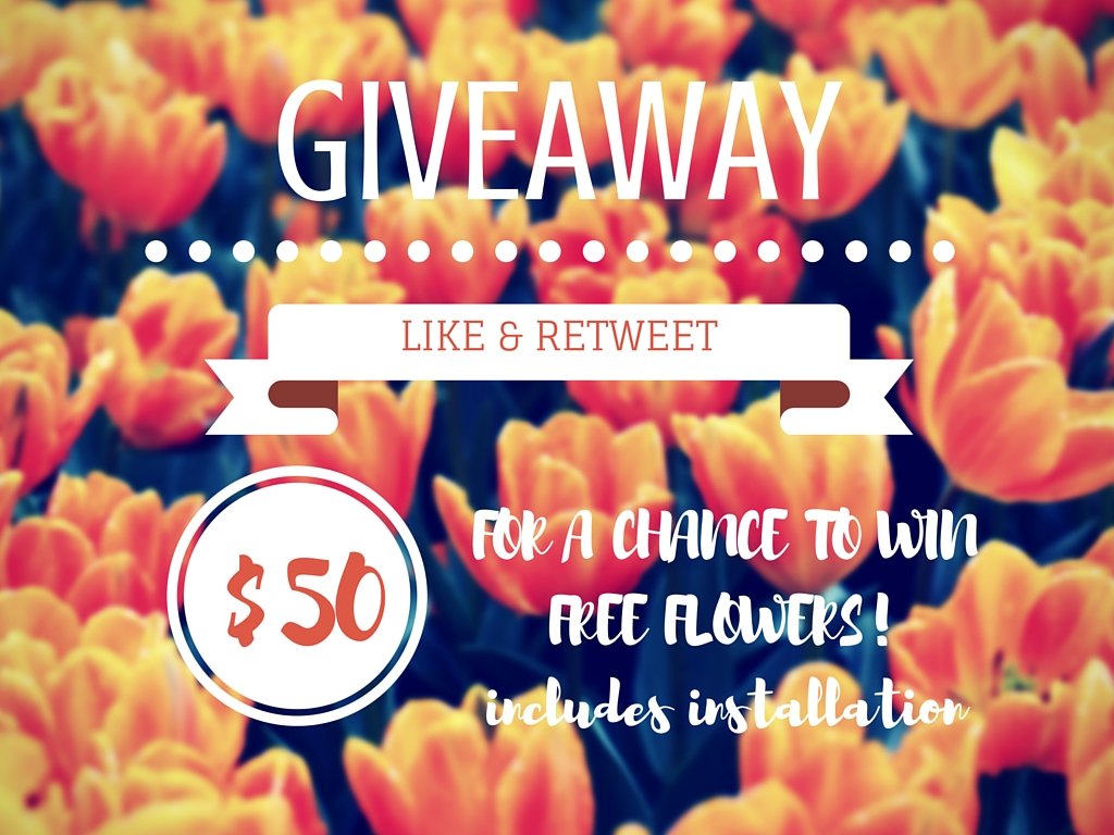 CleanCutCurbs's tweet image. Ready for a giveaway?? Like and retweet!