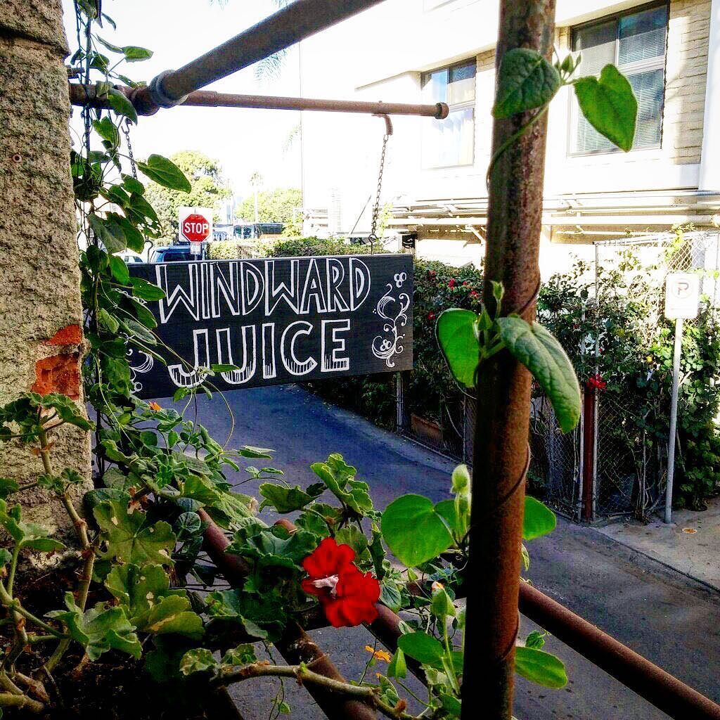 LAblocks's tweet photo. Watch our 2 min feature episode on Venice Beach's amazing @windwardjuice -- Link in Bio. 
Usually walking down an a… https://t.co/RS5fRfDxSo