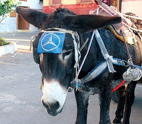 GermanEjarque's tweet photo. Mal pensados! Aquí está el Mercedes Benz del Ministro Venier, lo eligió por su bajo consumo https://t.co/gXpDFN1J0V