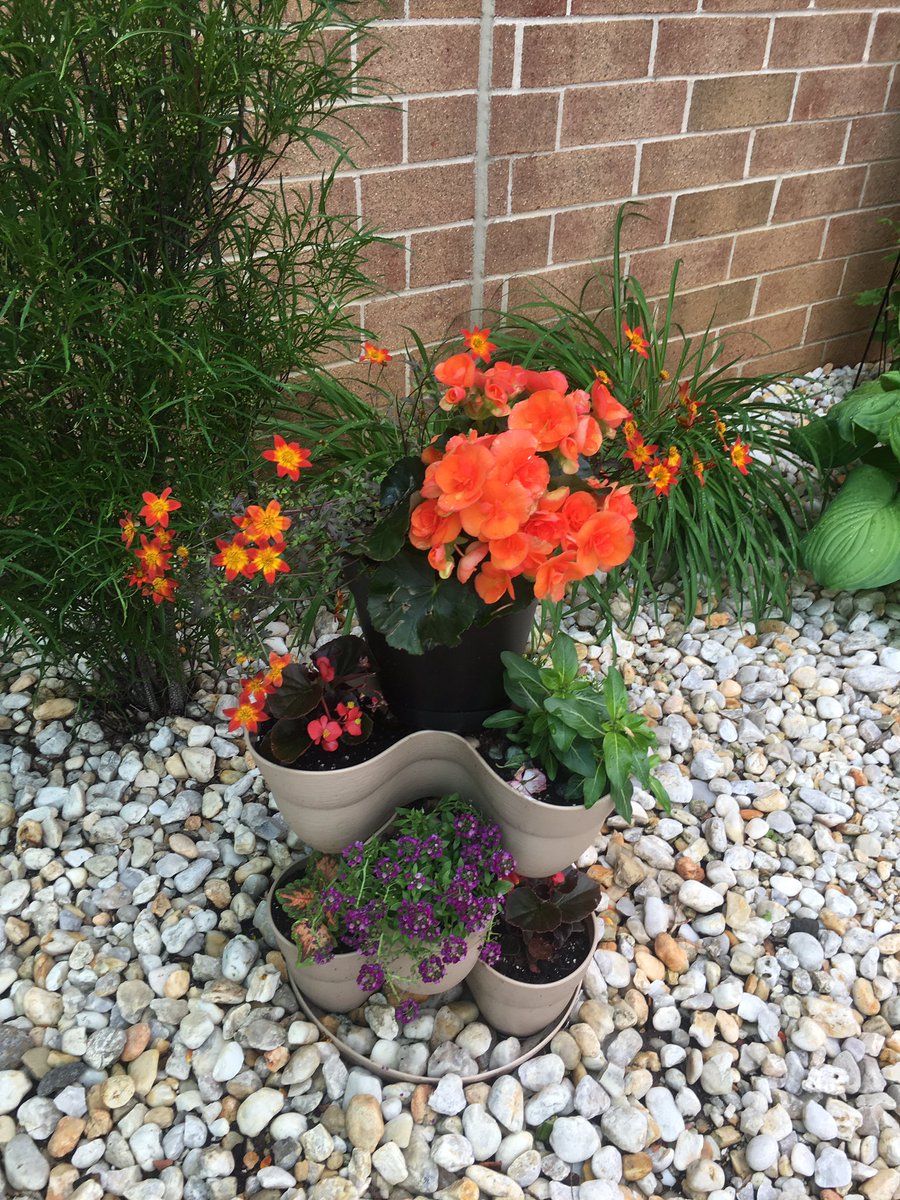 EBurdiel's tweet image. 