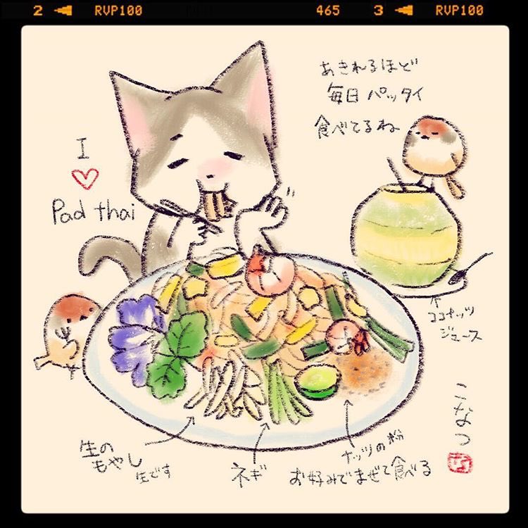 バンコクに来ています。
毎日家で作るほどタイ焼きそばのパッタイが好きです。本場のパッタイが美味すぎて感激!こちらでも毎日食べてます。 