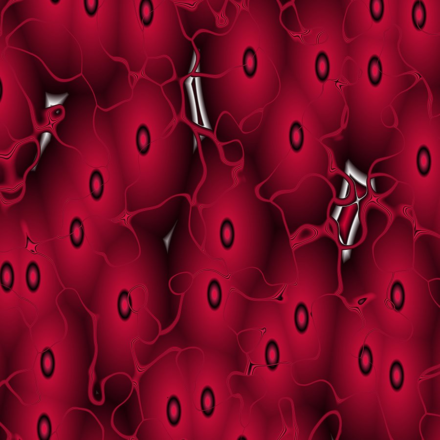 fractegrity's tweet photo. Digital Textures - https://t.co/uEWkRHduqU  
#texture #digitaltexture #organictexture #photoshoptexture #fractegrity https://t.co/tR3y9RLdgZ