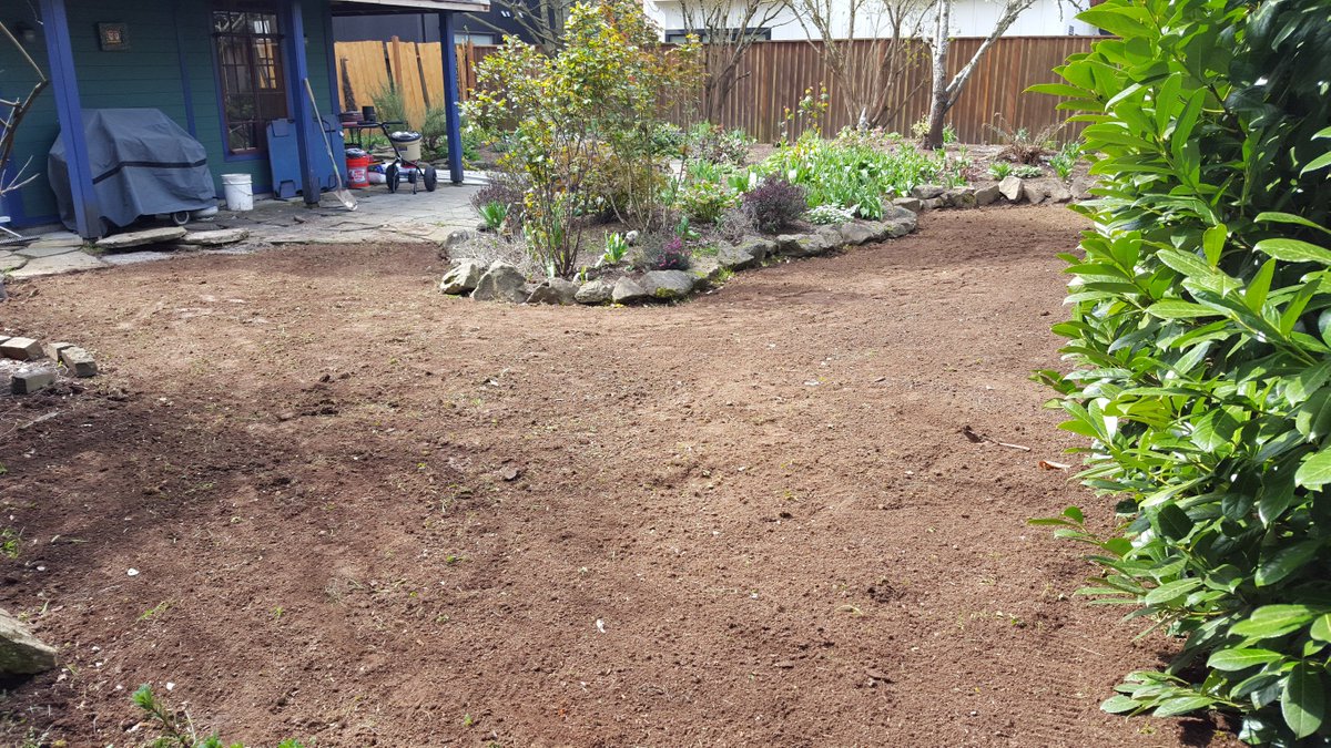 Flowcheck_LLC's tweet image. New sprinkler install and sod work. Before and After
