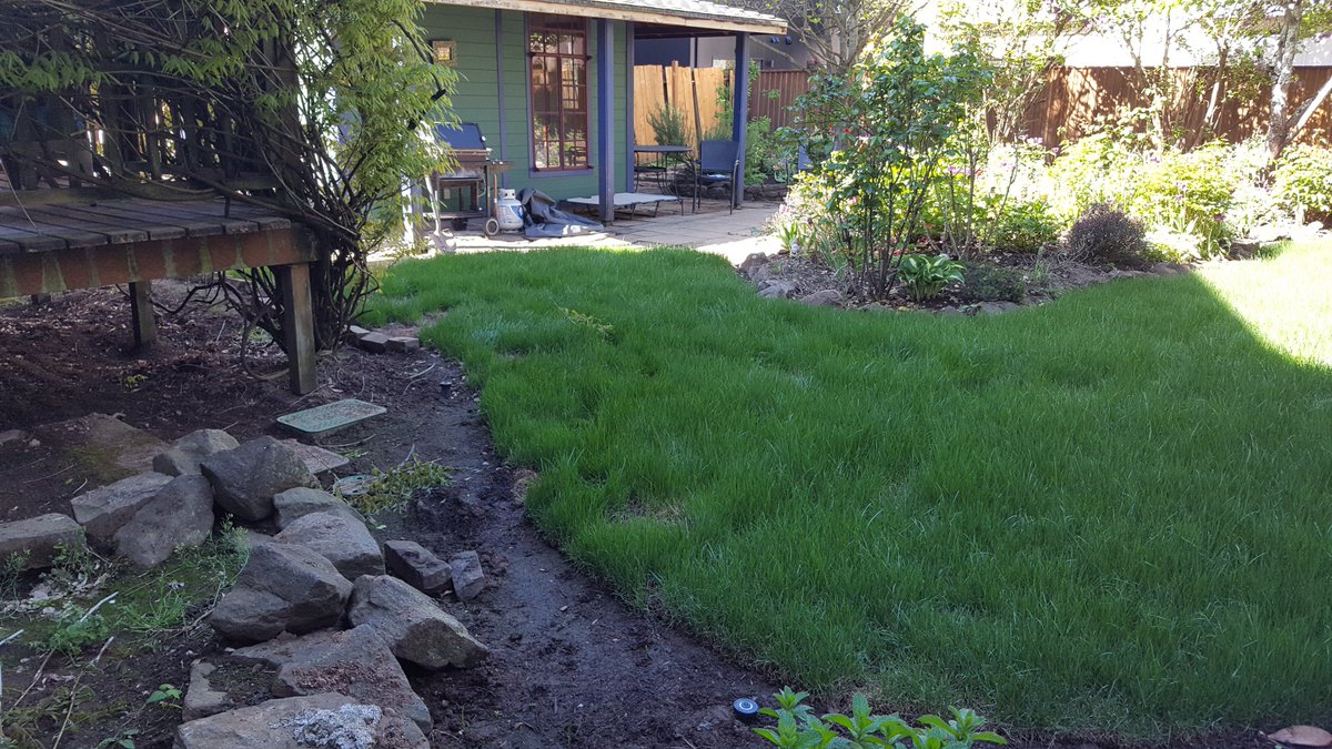Flowcheck_LLC's tweet image. New sprinkler install and sod work. Before and After