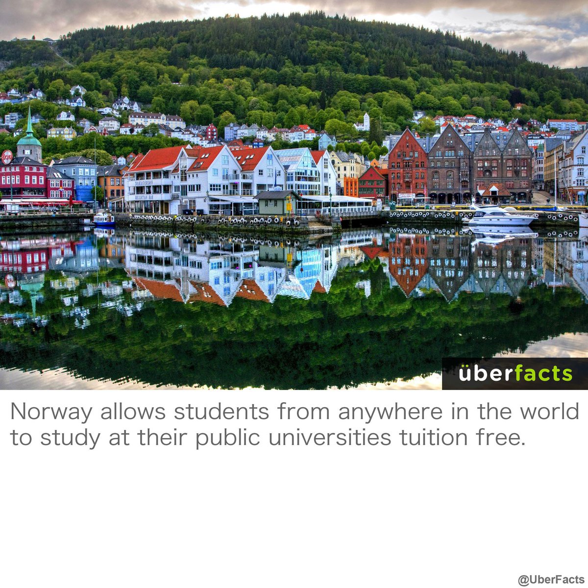 UberFacts's tweet photo. Just so you know. https://t.co/8sTk2GCCQF