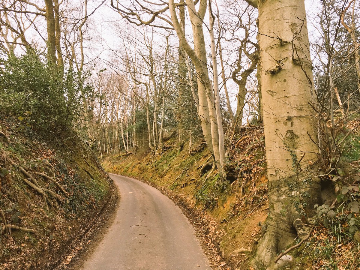 ROAVR_enviro's tweet photo. On site for a tree safety survey today... Gorgeous weather for a change! #bs5837 #treesurvey https://t.co/0H7QGnG9km