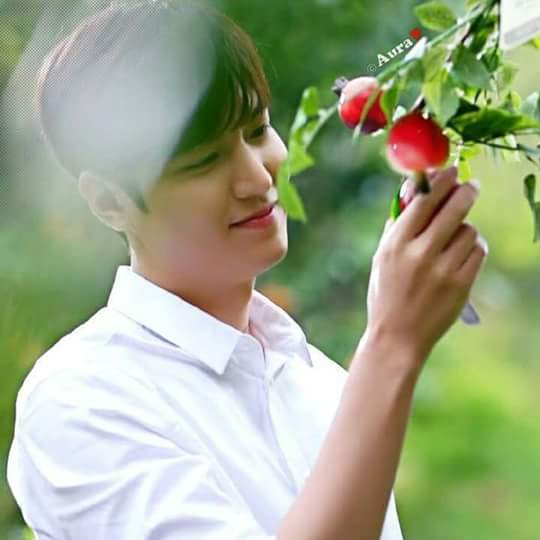 helloklife's tweet image. 이민호 오빠