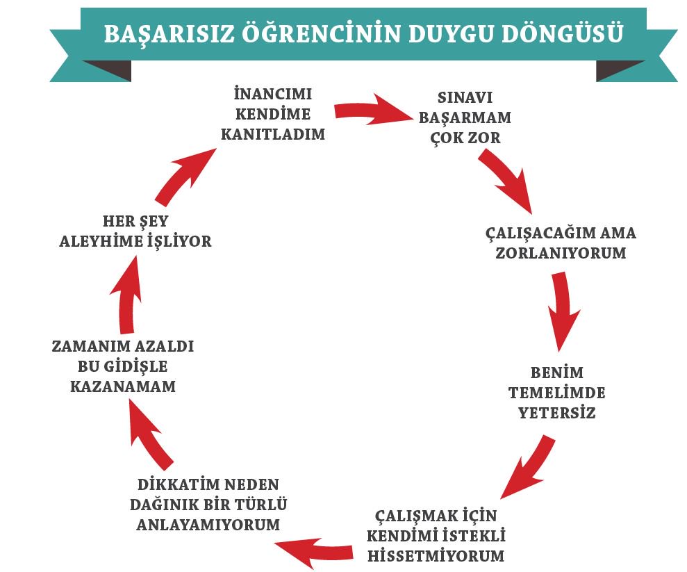 Başarı döngüsü-1