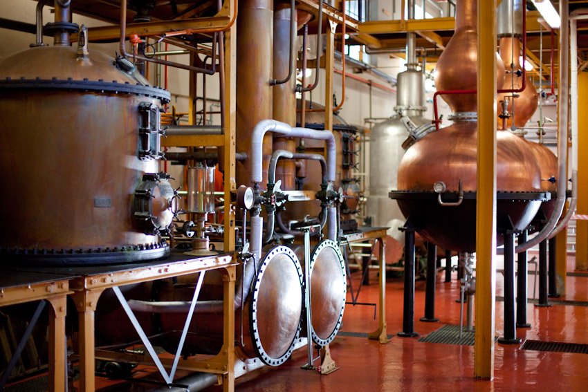 Fine Brandy Fusion tweet media