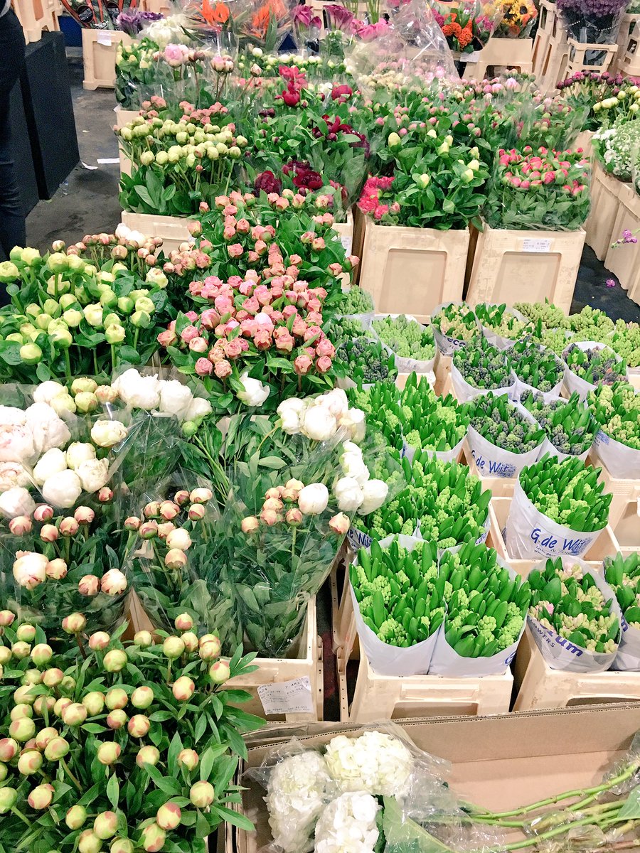 RootlessGarden's tweet image. Nothing like a trip to the flower market to get the day started! It's going to be a beautiful day!