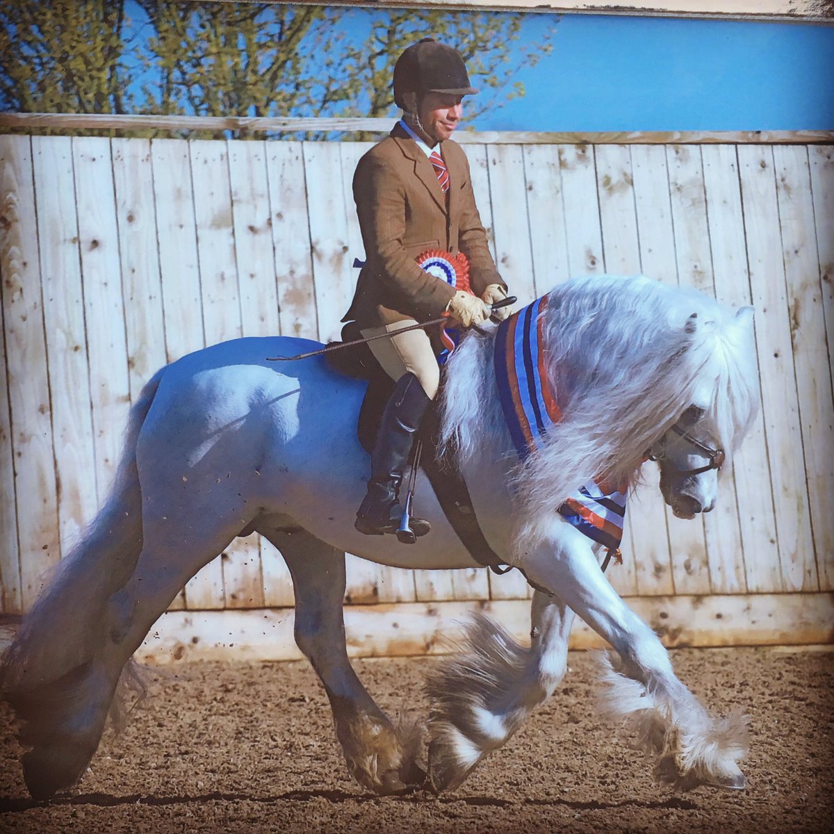 terryclynes's tweet photo. Murthwaite Ice Man Supreme Champion Tsr Spring Show sponsored by @themaneshop #winner #supreme https://t.co/kmkRwrpIGJ