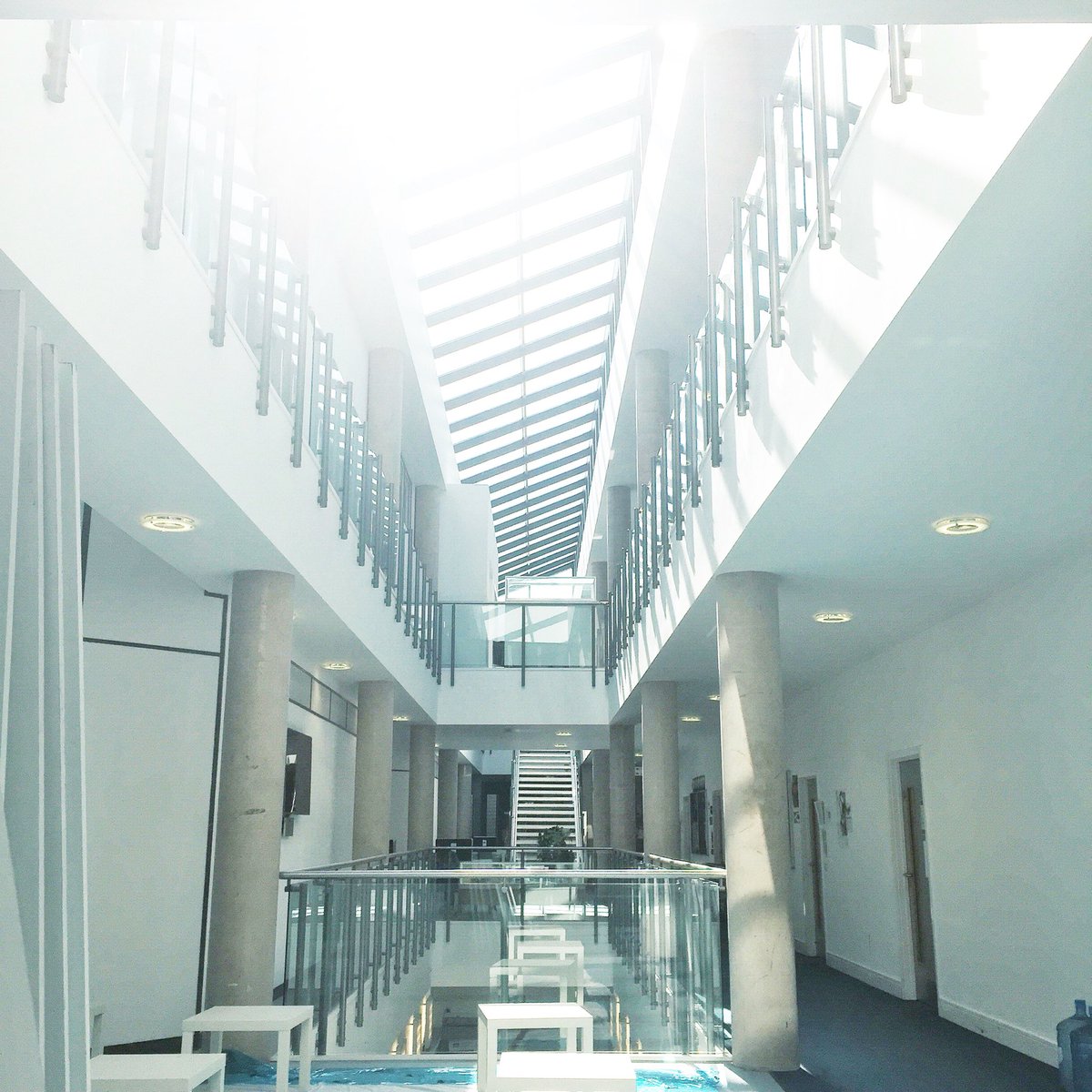 Darwin & Gray tweet media