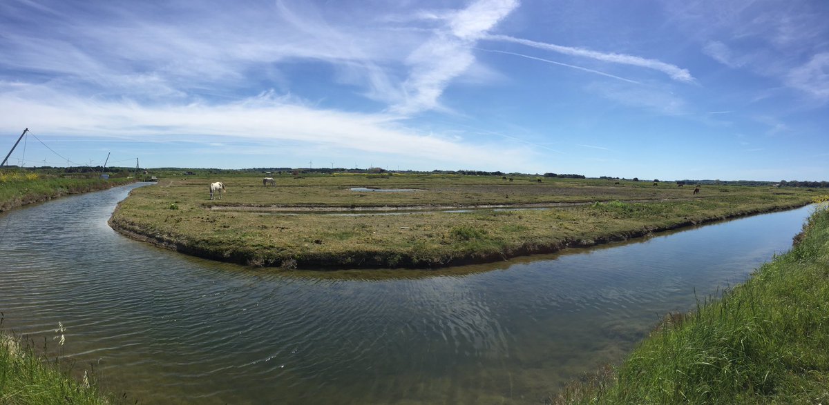 FredeBarteau's tweet photo. L'heure des huîtres. La #Vendee est magique. #la cabane https://t.co/ozJR6CNBnl