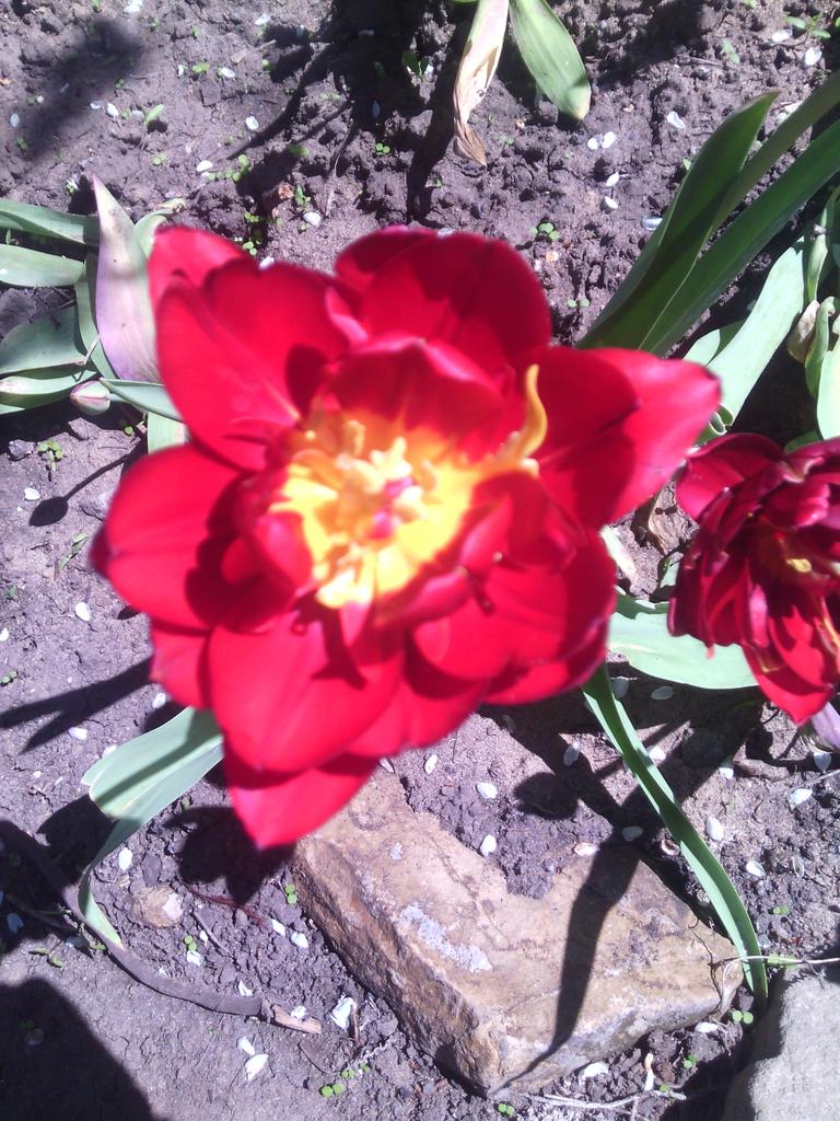 mishaproshkin59 tweet picture