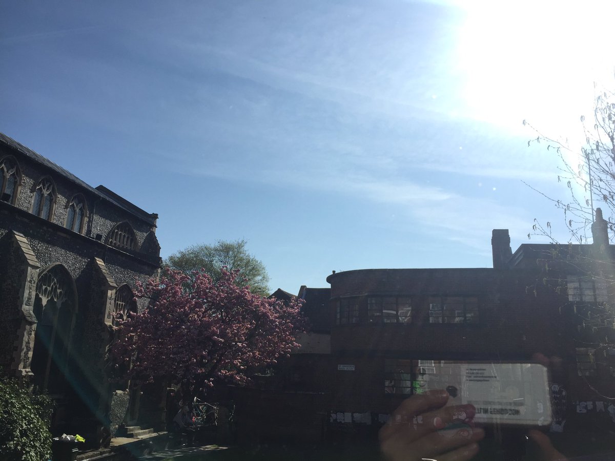 Museum of Norwich tweet media