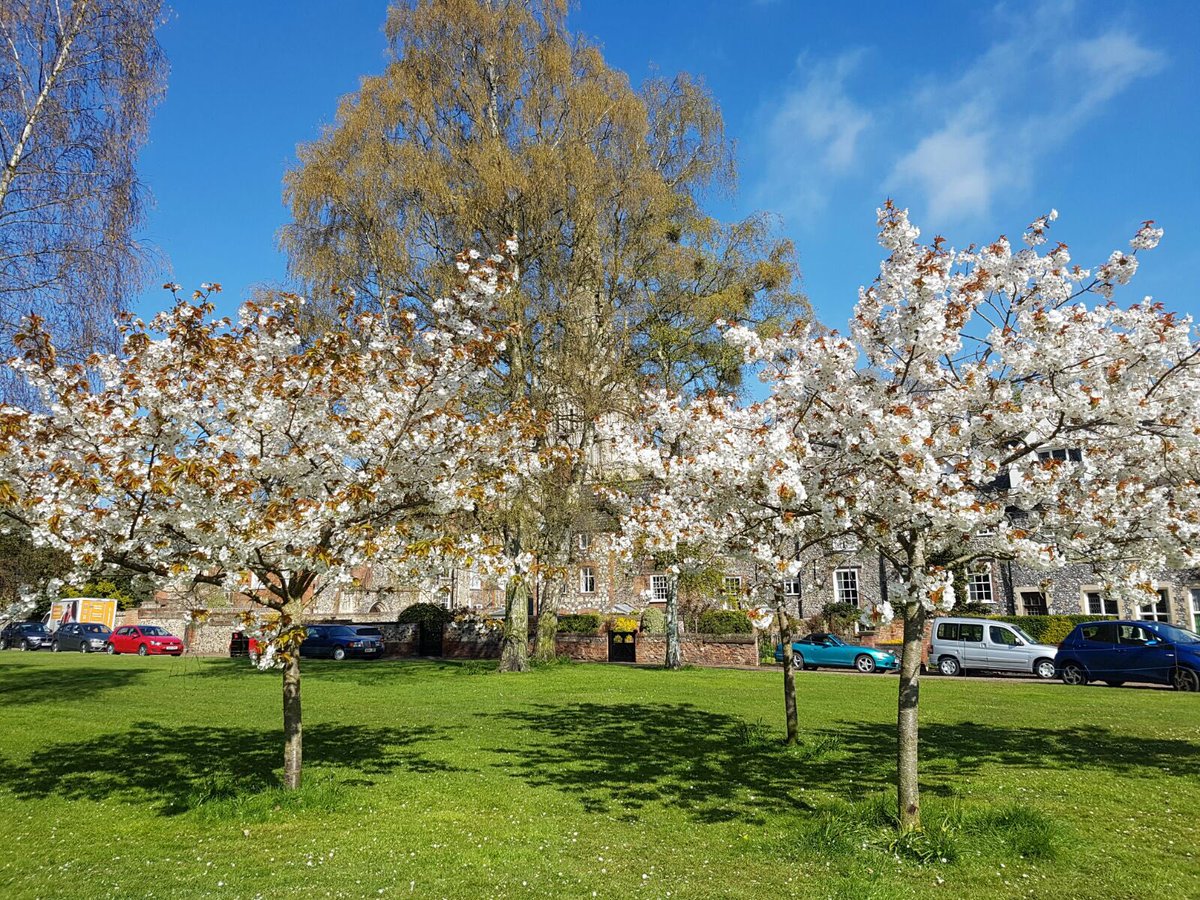 Museum of Norwich tweet media