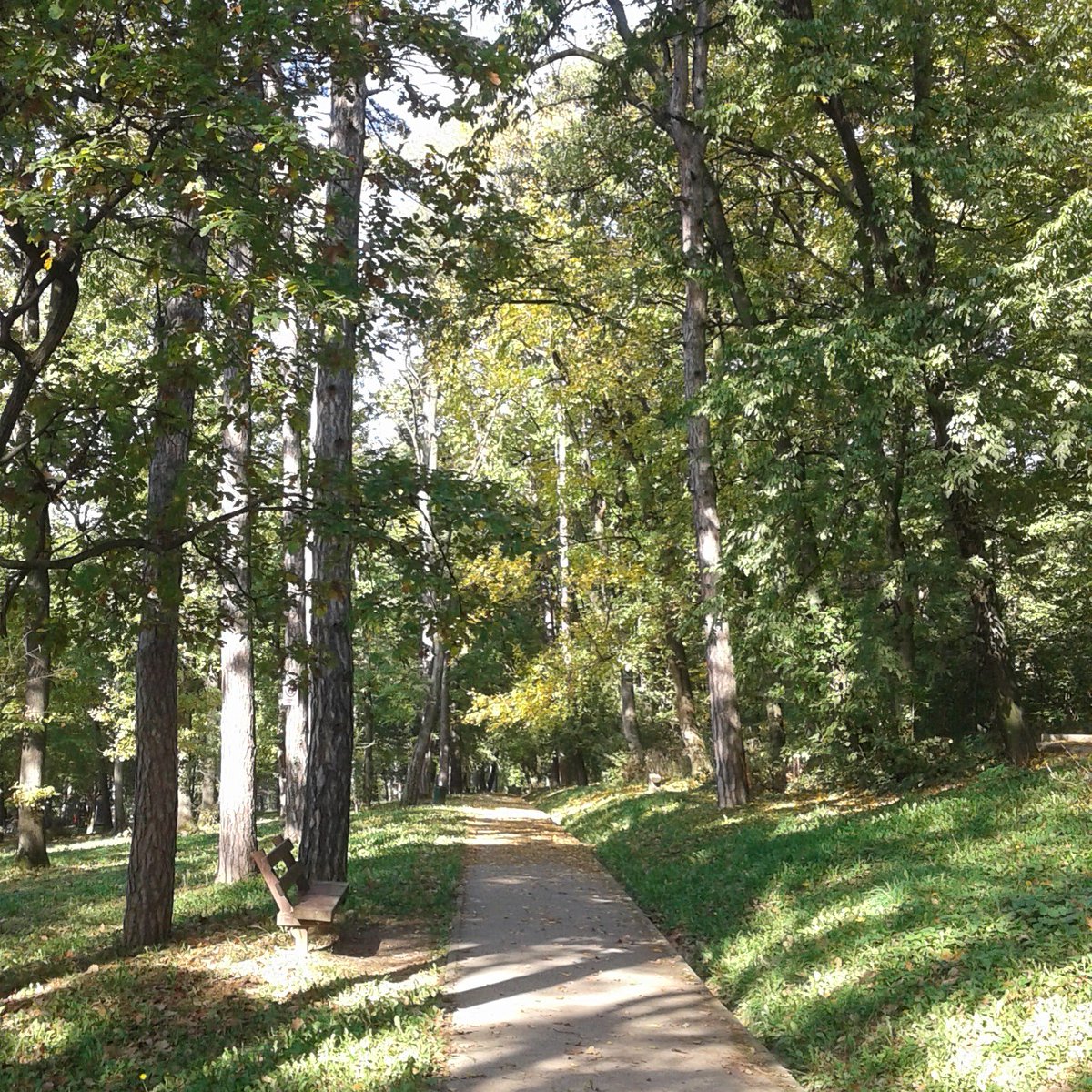 AvalaMountain's tweet photo. #Avala #Beograd https://t.co/k3002rykgv