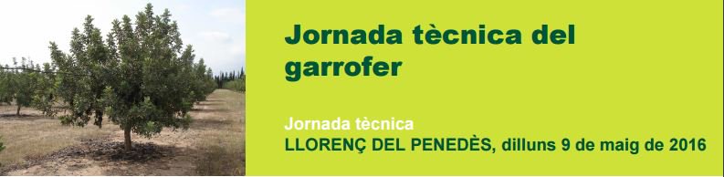 Grup_Boix's tweet photo. Jornada tècnica del #garrofer - https://t.co/NDFFShBgsp Org. @agriculturacat , amb @TerraiTaula i #CEOLPE https://t.co/ntWB9UQmeR