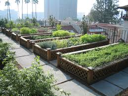 GroundworkKent's tweet image. RT @CECHR_UoD: 5 Urban Agriculture Strategies to Grow Your City’ s #Food Supply
sustainablecitiescollective.com/seedstock/1162… #locavore