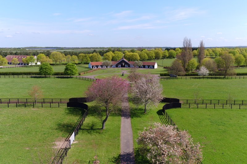 The National Stud tweet media