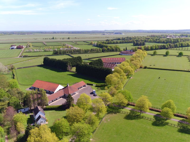 The National Stud tweet media