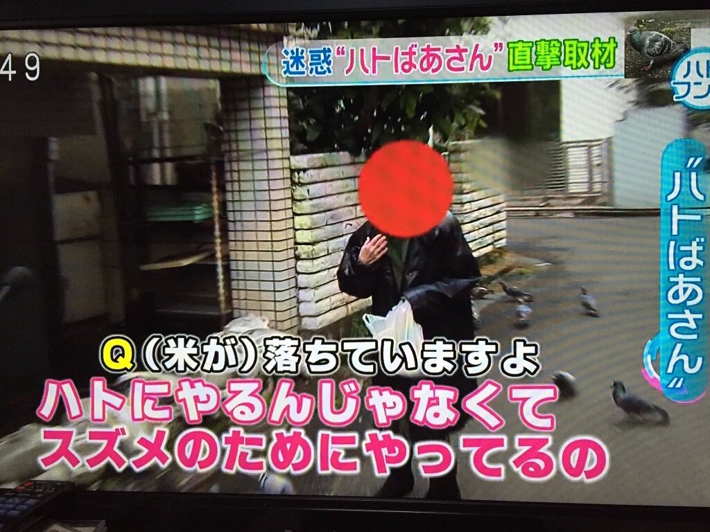 桐原剛造 As シューン V Twitter 今回の怨み屋本舗evil Heartはちょっと前にテレビでやっていた迷惑 ハト男 と ハト婆さん ネタか 随分前にも鳩に餌付けする婆さんを懲らしめたエピソードがあったけど 今度はどうするのやら そんなの知らねーよ 怨み屋本舗