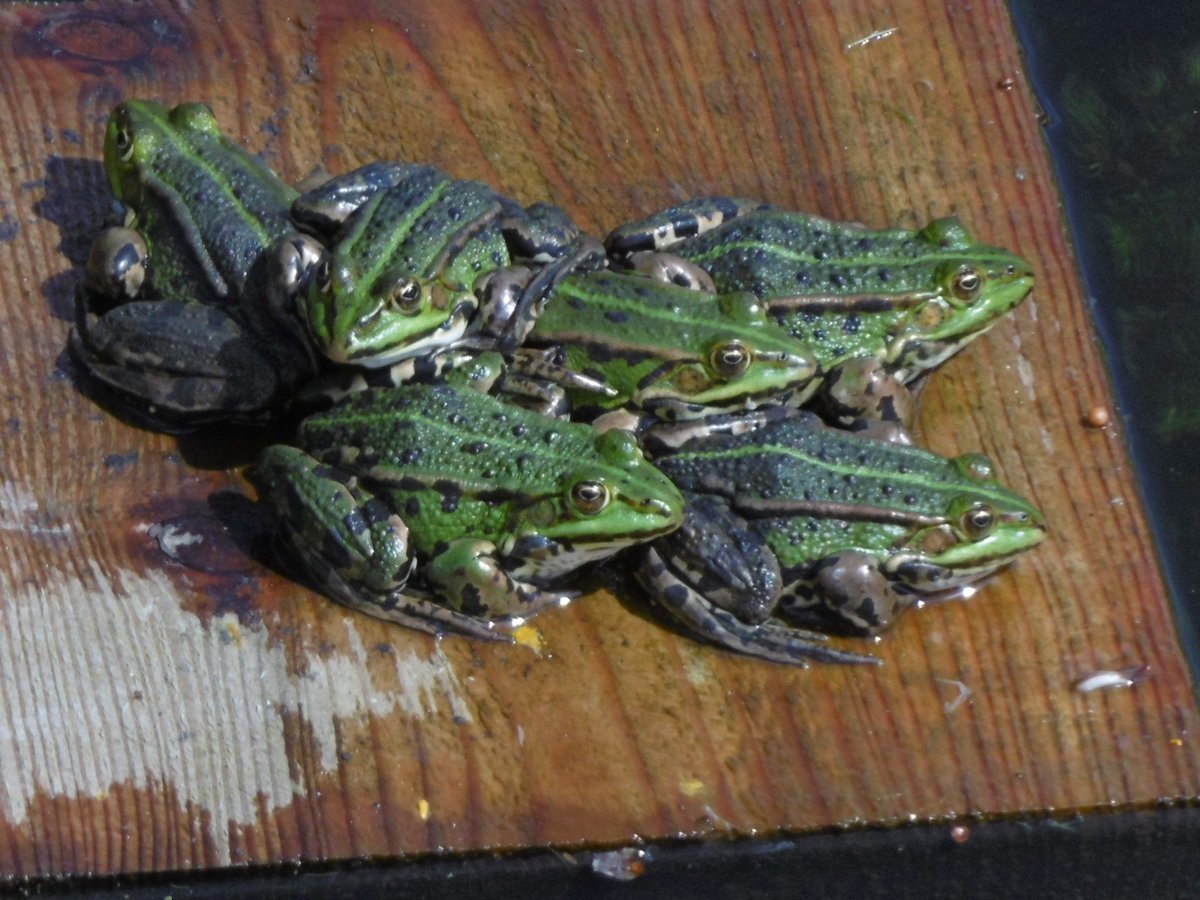 We zijn niet de enigen die ook vandaag weer van de zon genieten:-)