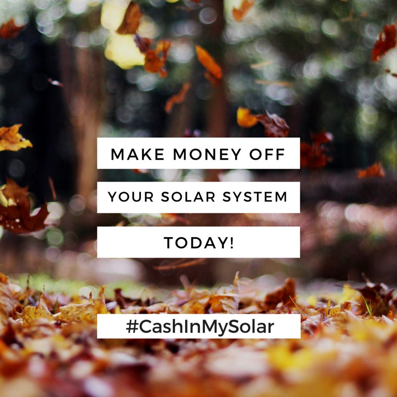CashInMySolar's tweet photo. Avoid all the maintenance and technical problems by selling your Solar system today! Contact us today! #Eco #energy https://t.co/cuF7O0BXFC