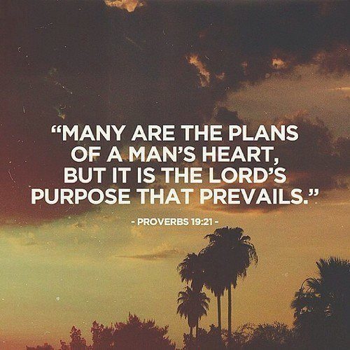 Image result for many are the plans of a man's heart