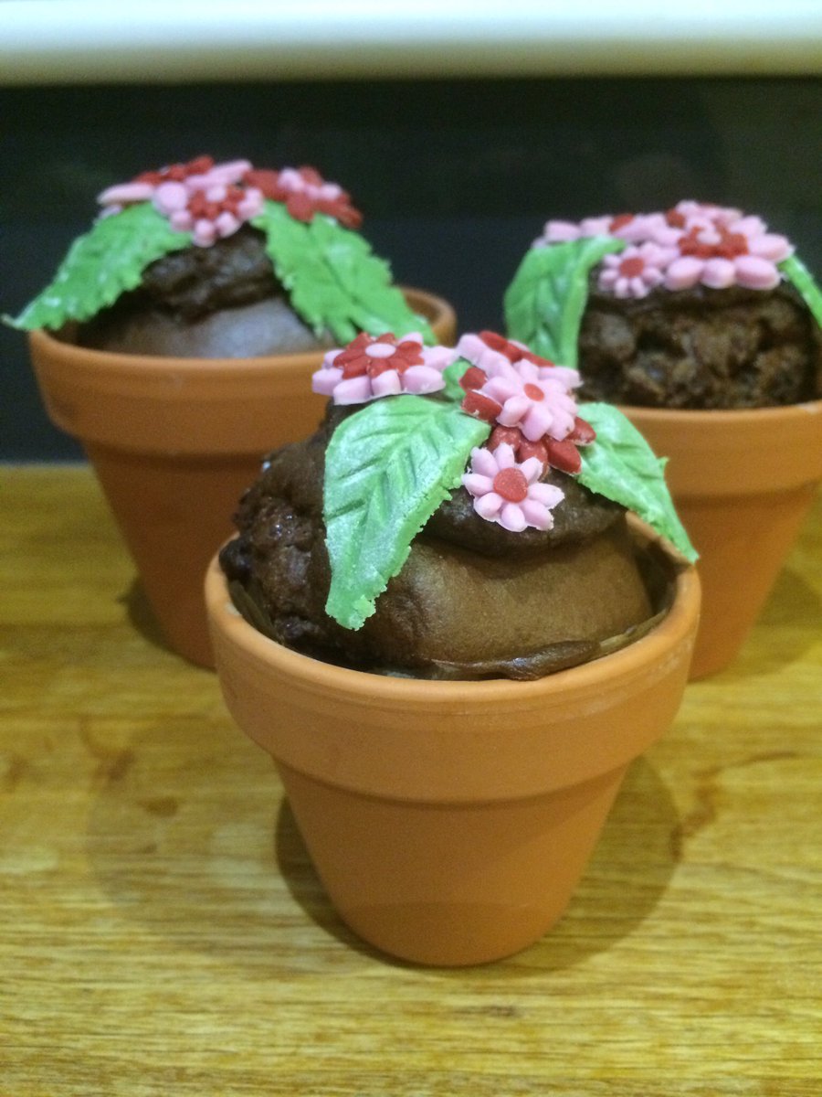 busybakingco's tweet photo. @Notts_TV cakes in plant pots #notts #baking https://t.co/i3jsJJ9gBC