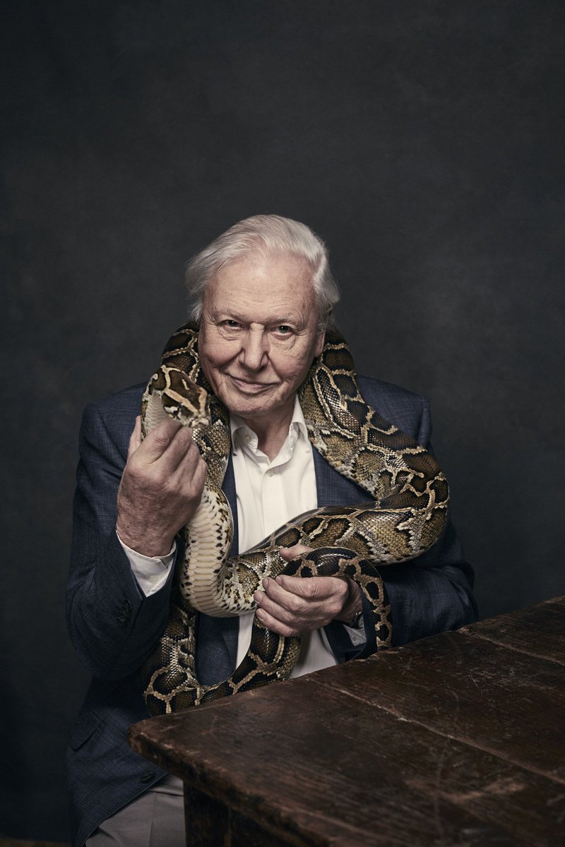 Sir David Attenborough shares his remarkable career highlights ahead of his 90th birthday: bit.ly/26VZoOr