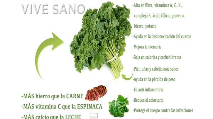 CCpharma_BCN's tweet photo. KALE, UNA COL QUE CONTIENE MÁS CALCIO QUE LA LECHE. https://t.co/4lW61Gwewk https://t.co/yLZbvQiLug