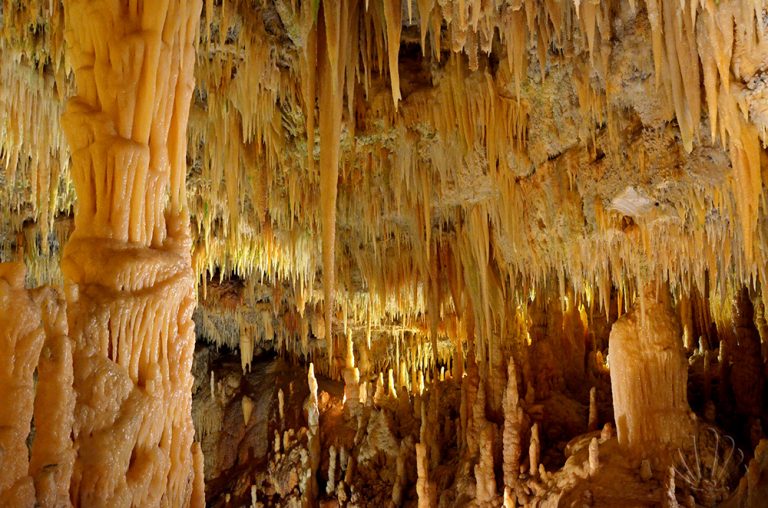 Nuovo post! Venite a vedere una meraviglia di #Puglia! giornirubati.it/grotte-castell… #castellanacaves #puglia365