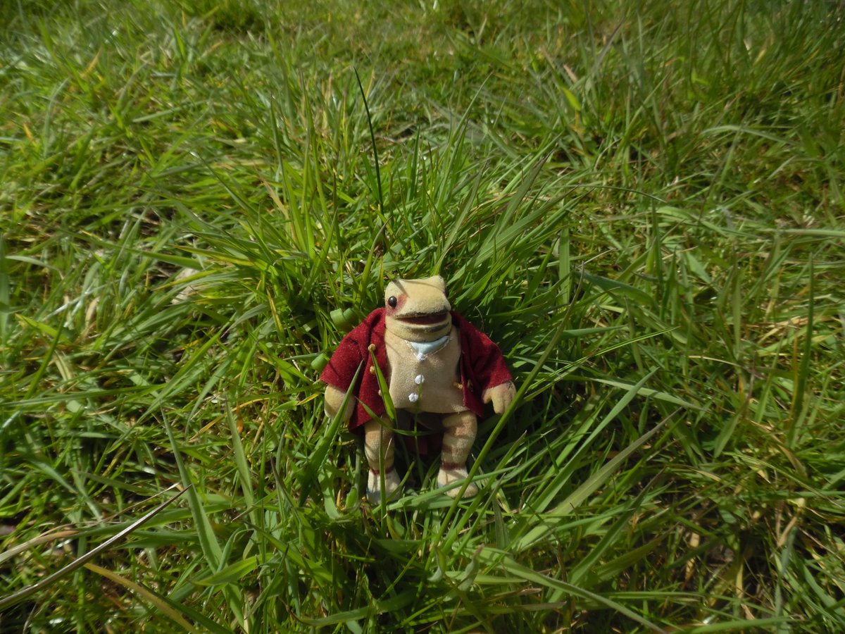 The grass isn't long enough to hide in but we have asked for it to not be cut! #hedgehogweek #GrangeForestSchool