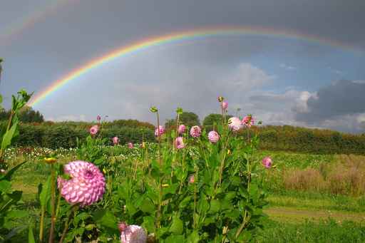 mamiarcoiris's tweet photo. ¿Que es un bebé arco iris? https://t.co/ZXMCY29Dwg
@RedMBxElMundo #RedMBxElMundo https://t.co/awcgsjLCWY