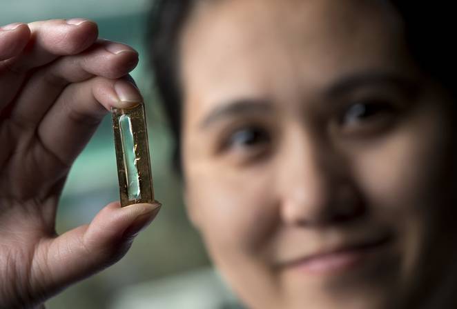 Global_Cool's tweet photo. Researchers create incredible, everlasting battery... https://t.co/MMIUA0gNTp via @TreeHugger #energywin https://t.co/4V6wZ7mviA