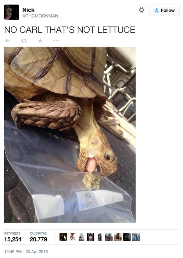 TrendyCreatures's tweet image. No baby that's not food