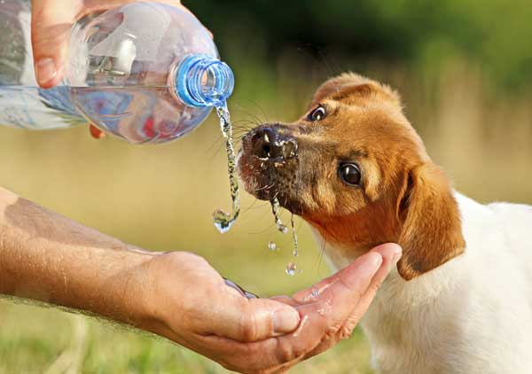 VeoliaUK's tweet photo. It’s #hot today so drink plenty of #water &amp; remember to #recycle your #plasticbottle! #KeepCalmAndRecycle https://t.co/MXSyTqxfMa
