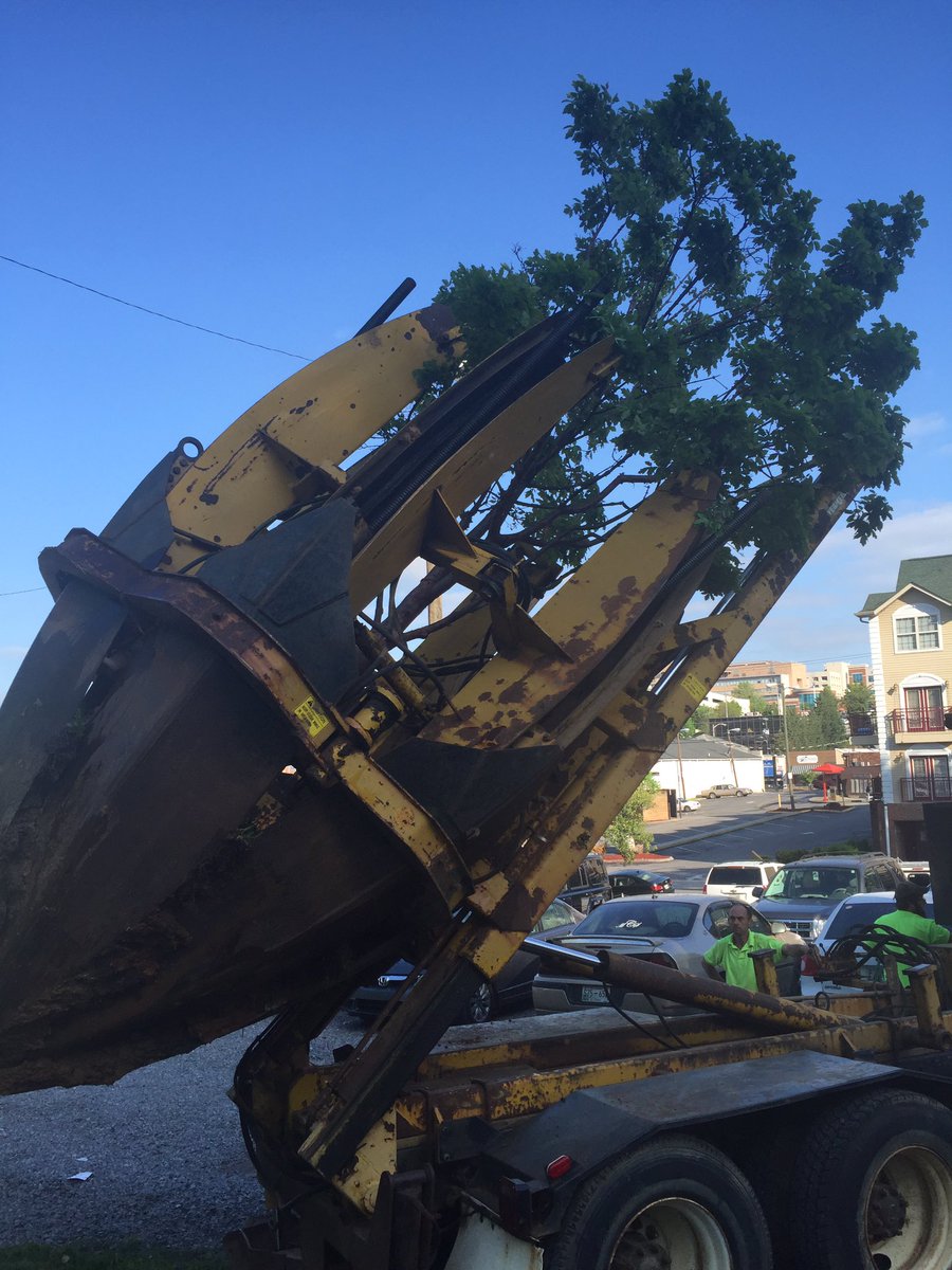 GBOTrees's tweet photo. Made way for the Lake Ave garage Moved this paperbark maple to a new home @CityKnoxvilleTN @utkfacserv https://t.co/FVaK70ANNG